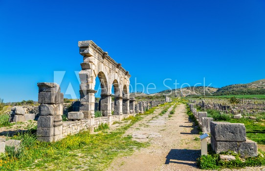 Picture of Decumanus Maximus the main street of Volubilis an ancient Roman town in Morocco